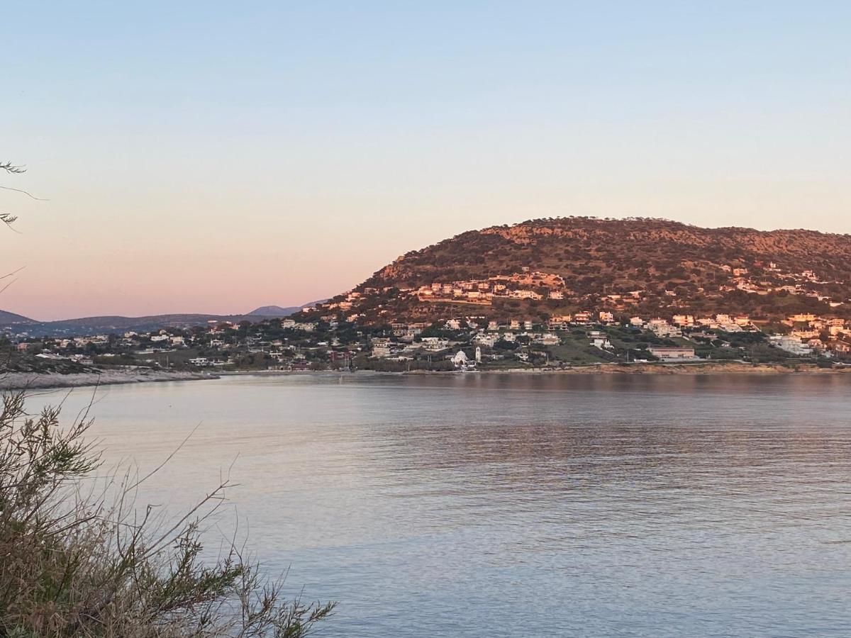 Seascape Luxury Villas Agia Marina  외부 사진